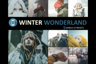 Neo Winter Wonderland Mobile Lightroom Presets: Transforming Mobile Photography Workflows for Professionals and Creatives